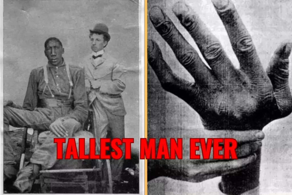 how tall was the tallest man in the world