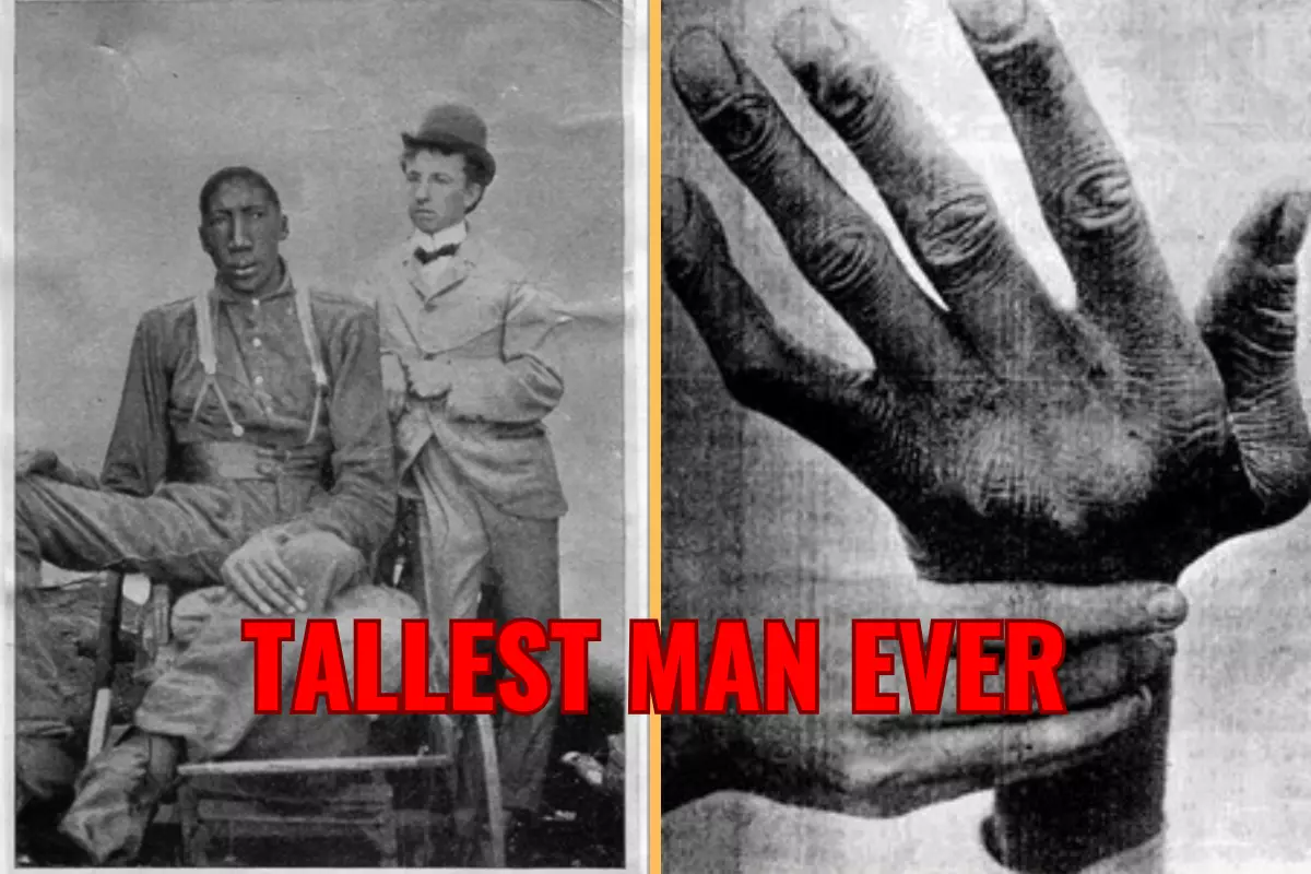 John Rogan The Tallest Man Ever In The World