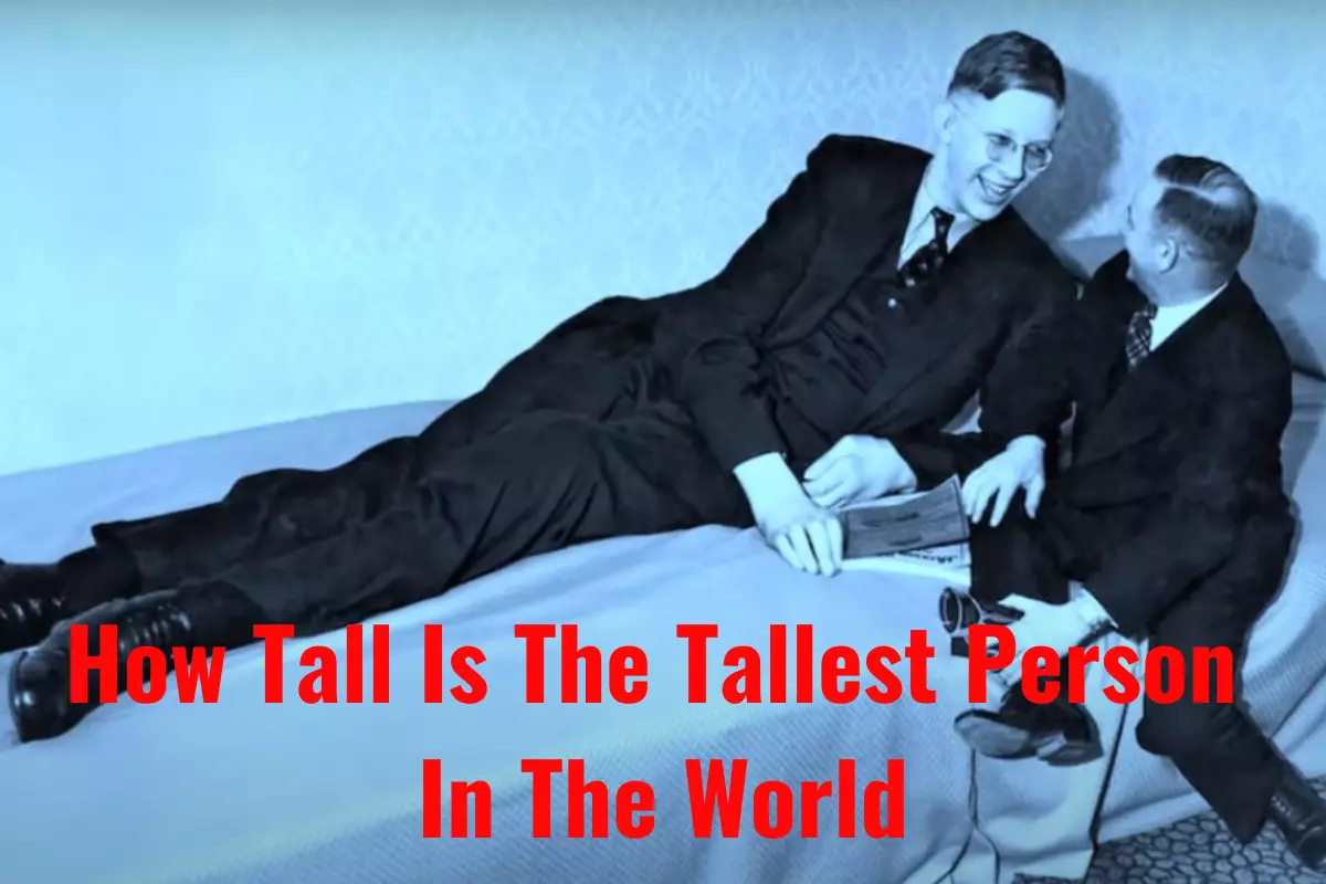 The Tallest Person in The world: Robert Wadlow Height & Bio
