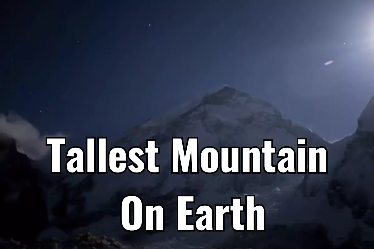 is mount everest the tallest mountain
