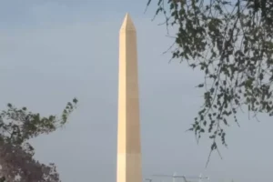 The Washington Monument is the tallest building in DC