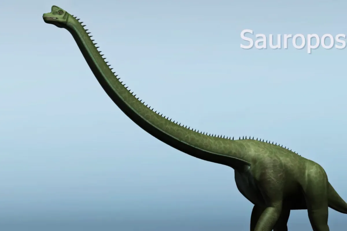 How tall is the tallest dinosaur?