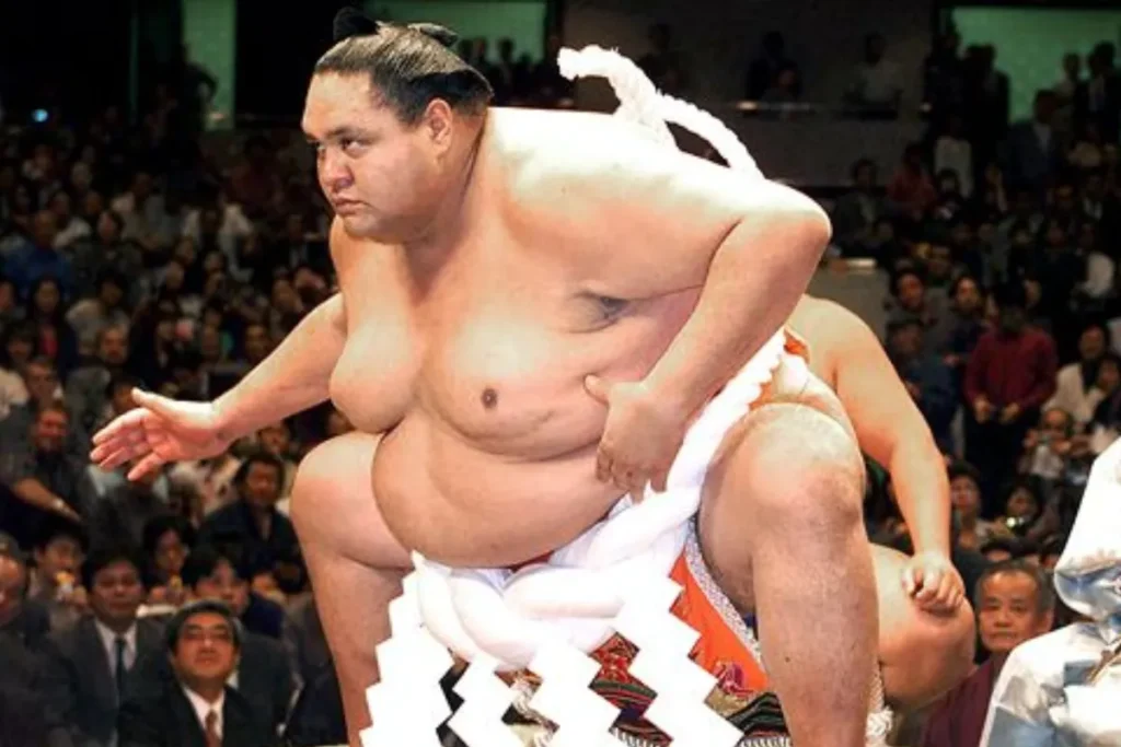 Tallest Sumo Wrestler 