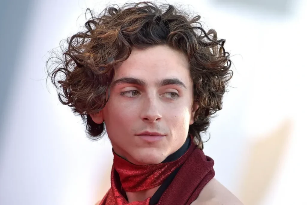 How Tall Is Timothee Chalamet? Know His Bio & Net Worth